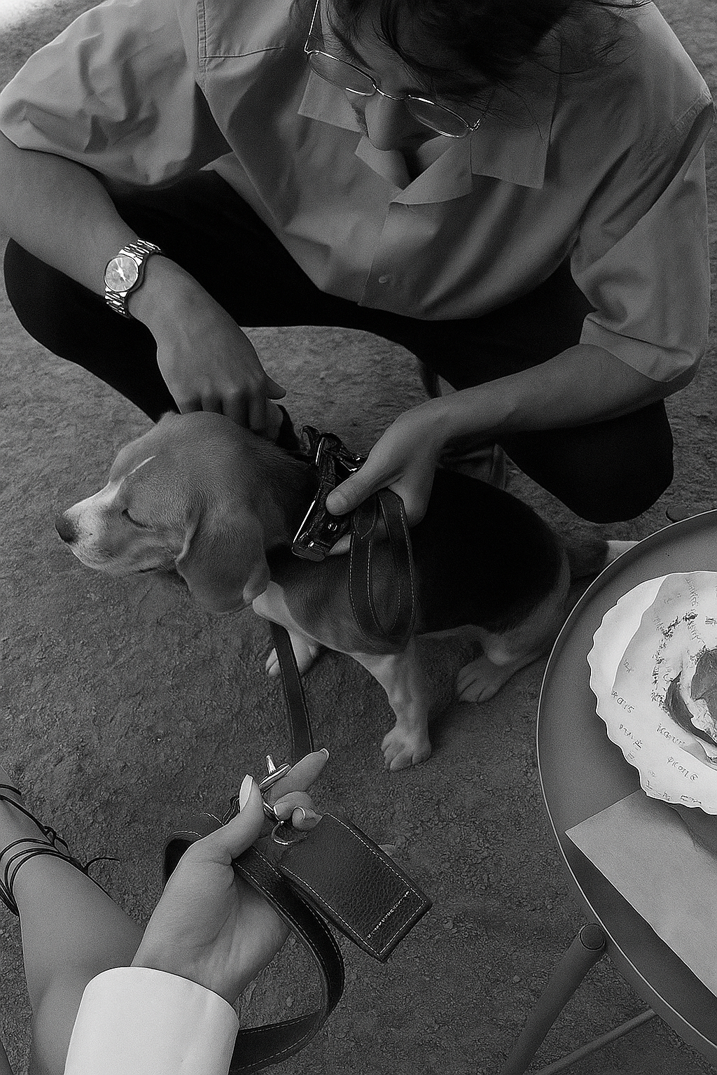 Animal Lovers