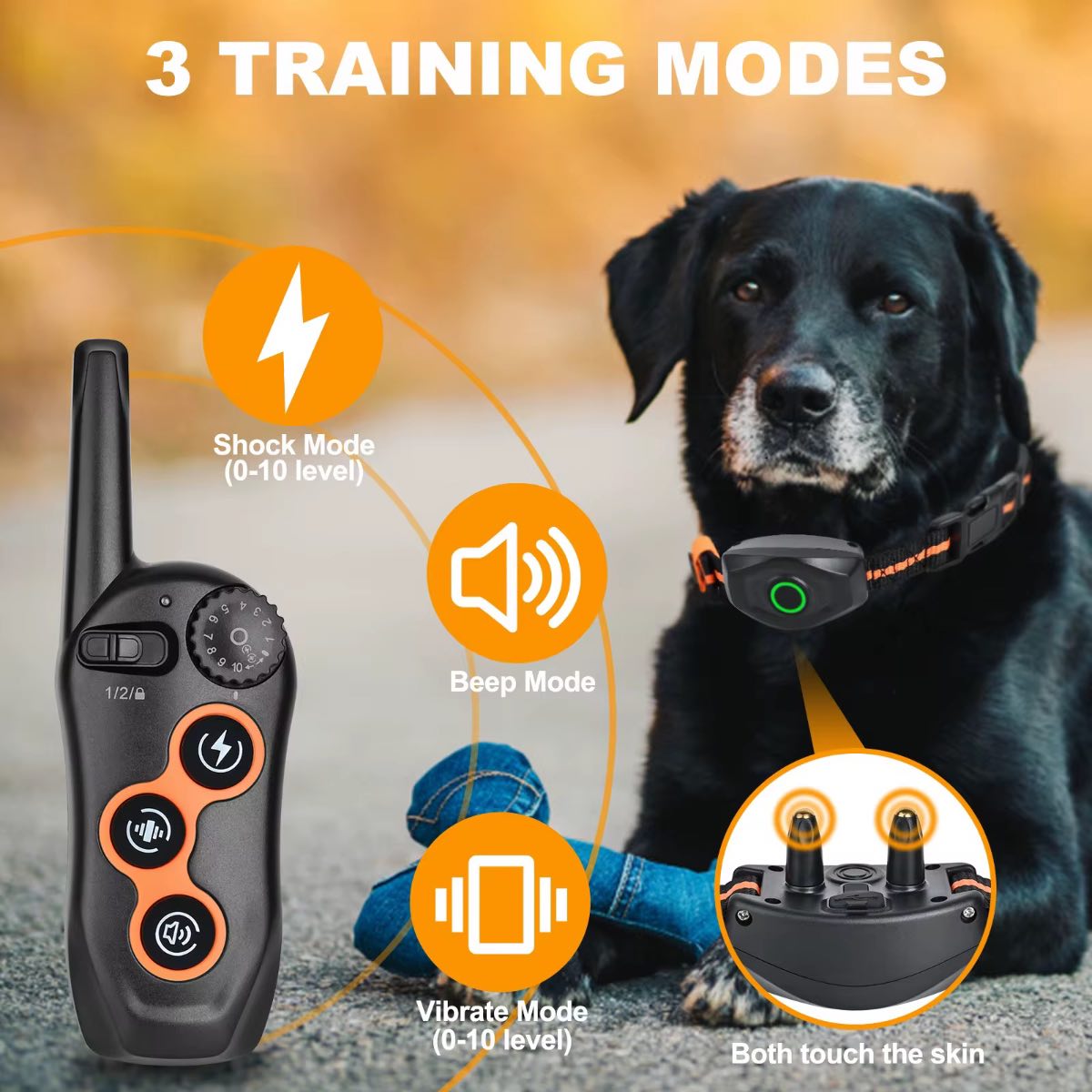 Collar Inteligente Adiestramiento Perros