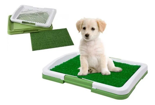 Tapete Entrenamiento Baño Para Perros