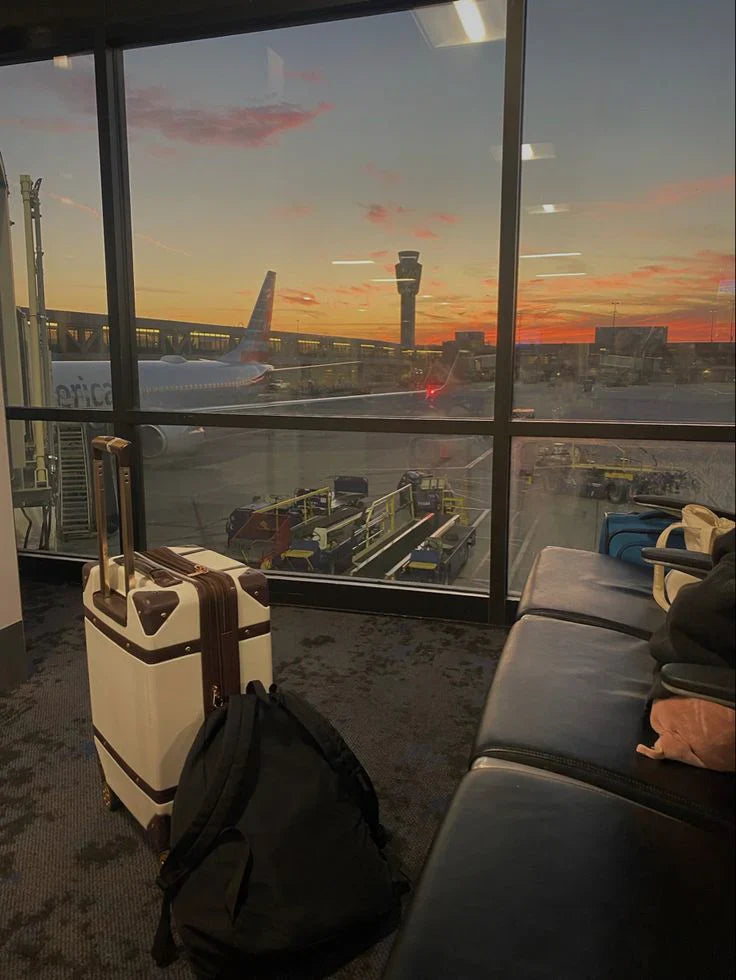 Compañeros De Viaje