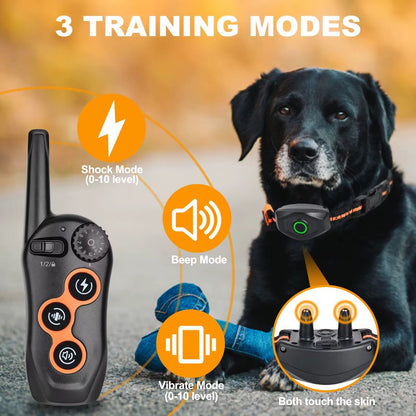 Collar Inteligente Adiestramiento Perros