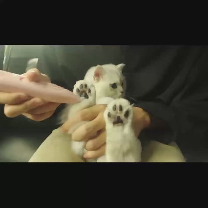 Afeitadora De Aseo Para Mascotas